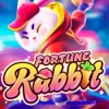 Fortune Rabbit